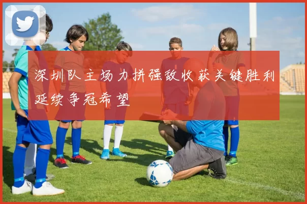 深圳队主场力拼强敌收获关键胜利延续争冠希望