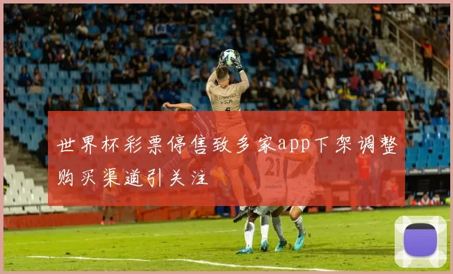 世界杯彩票停售致多家app下架调整购买渠道引关注