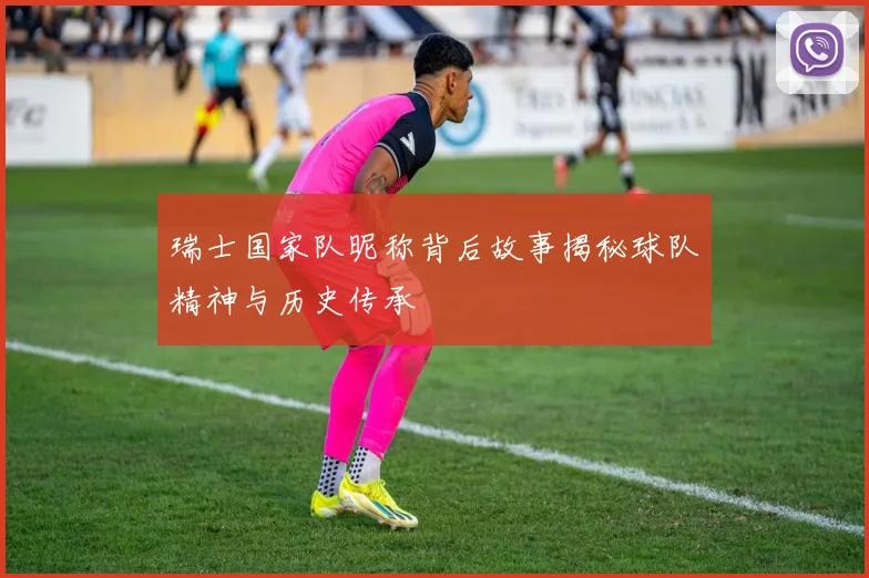 瑞士国家队昵称背后故事揭秘球队精神与历史传承