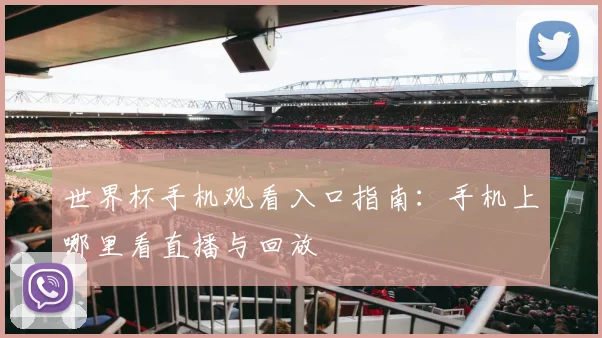 世界杯手机观看入口指南:手机上哪里看直播与回放
