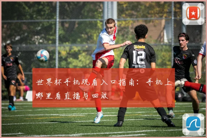 世界杯手机观看入口指南:手机上哪里看直播与回放