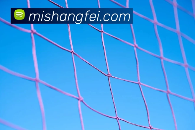 App Interface Preview